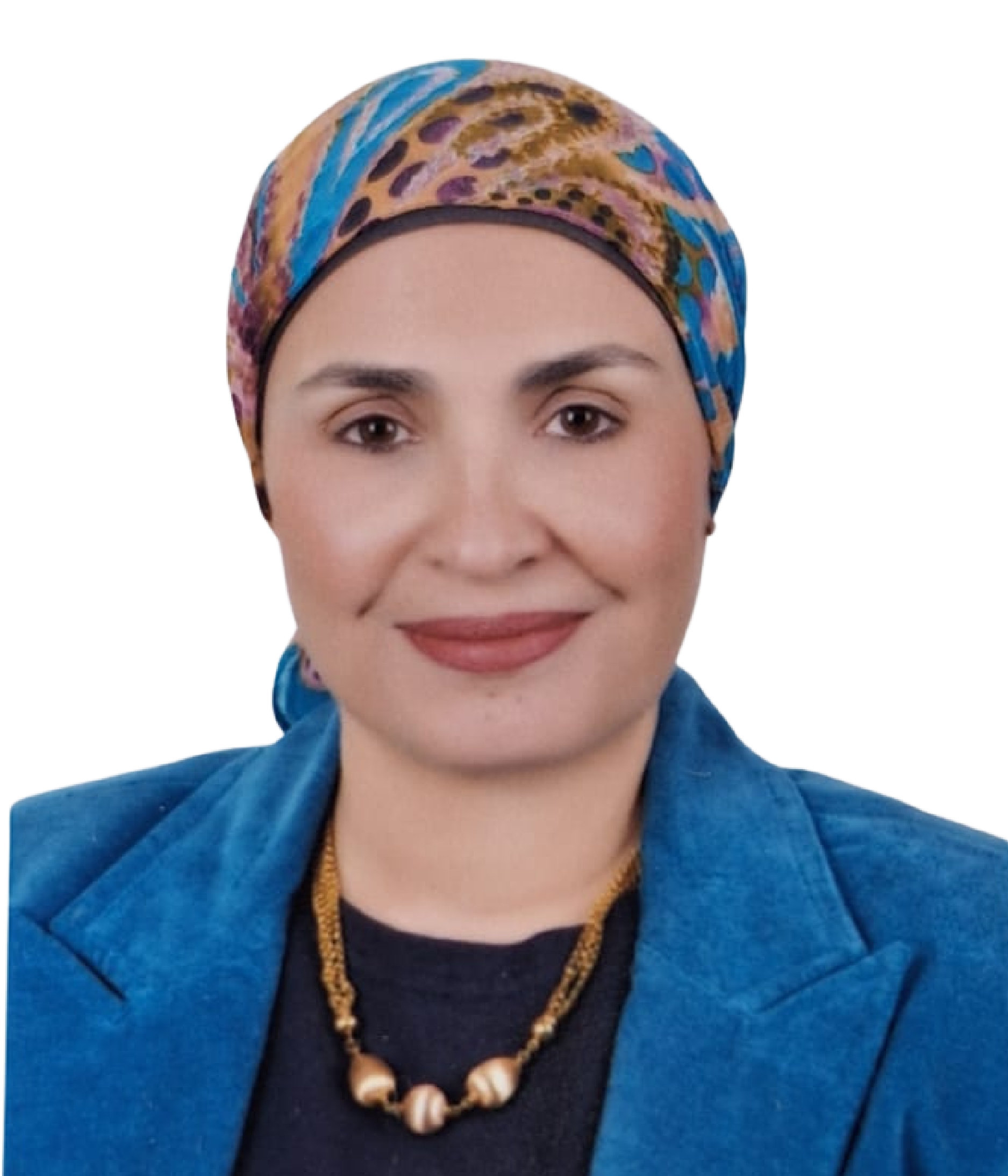 Prof. Dr. Nirvana Hafez